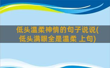 低头温柔神情的句子说说(低头满眼全是温柔 上句)